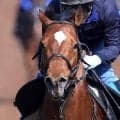 豪州の高額賞金レース・ゴールデンイーグルがＧ１に格付け　２３年にオオバンブルマイが優勝