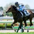【函館2歳S想定馬・騎手】シグレ、ダマスクなど13頭