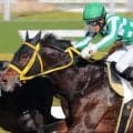 リヤンドファミユ産駒がJRAで約2年ぶり勝利なるか エアフォースワンが1年半ぶり復帰戦だ