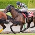 【小倉記念想定馬・騎手】ジョバンニ、ガイアメンテなど19頭