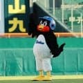 【阪神】つば九郎が甲子園見参　トラッキーとのイス取りゲームは意外な結末　ファンほっこり