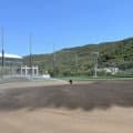 高校野球徳島大会いざ本番　春の県大会のDH制、記録分析してみると