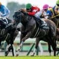 【今日の注目ポイント】福島でOP特別の安達太良S