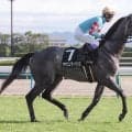 【競馬予想】「とにかく荒れる」七夕賞　先行勢に有力馬がそろうなか、機動力秘めた４歳馬の一発に要注意