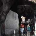 【装蹄師・西内荘コラム】小倉開催もあと2週、モックモックと新馬ルクスグレイスに期待
