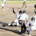 夏のてっぺんめざし、37校の熱戦幕開け　高校野球香川大会