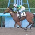 【函館１Ｒ】ラピッドテソーロが母が活躍した砂替わりで初Ｖ　母は全日本２歳優駿の覇者リエノテソーロ