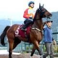 史上初のダブル受賞　香港年度代表馬に最強短距離馬のカーインライジングと世界最高賞金のロマンチックウォリアー