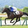 【福島３Ｒ・２歳未勝利】レオンティウスが１番人気に応えて快勝　田中勝春調教師「なかなか味のある競馬」