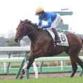 【函館５Ｒ・２歳新馬】スピードけた違い　フレイコンが衝撃の８馬身差Ｖに横山武史騎手「能力とスピードの違いで…」