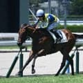 【小倉5R新馬戦結果】エフフォーリア産駒フランソワーズが人気に応えて逃げ切りV