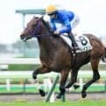 【函館5R新馬戦結果】ブルーポイント産駒フレイコンが8馬身差で圧勝