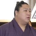 コンパートメント症候群で休場の若隆景が診断書提出「２か月の加療安静を要する」【大相撲】