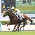 【福島５Ｒ・２歳新馬】単勝１・５倍のニシノイサリビが逃げ切り　戸崎圭太騎手が高評価「使って良くなる感触です」