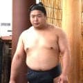 若元春、数日前にぎっくり腰も「だいぶ良い」好成績なら山本屋のみそ煮込みうどんをご褒美に