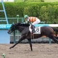 地元で快進撃！　丹内祐次騎手が函館８Ｒで自身初の一日５勝に「よかった」５番人気アイファーシャドーで決めた