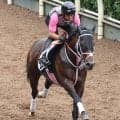 土曜福島競馬場の注目激走馬…福島１１Ｒ安達太良ステークス