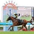 武豊騎手が５０００勝にマジック１　函館１０Ｒのアスクケンタッキーで逃げ切りＶ