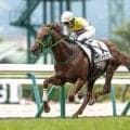 【福島5R新馬戦結果】ダノンスマッシュ産駒ニシノイサリビが逃げ切り勝ち