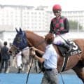 武豊騎手の通算５０００勝はＭ１で１２日に持ち越し「これで負けるなら仕方ない」　土曜最後はゴール寸前で大台逃す２着