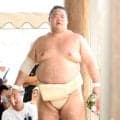 十両・明生、幕内復帰へ決意「戻れるように頑張りたい」…１２日初日・名古屋場所