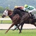 【福島１１Ｒ・安達太良Ｓ】マサノカナリアがオープン７戦目で待望の初勝利　石川裕紀人騎手「乗りやすいのが武器」