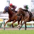 【函館１１Ｒ・五稜郭Ｓ】函館巧者のカテリーナがゴール前強襲　５０００勝王手の武豊騎手のダンツファイターをとらえる