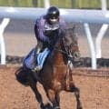 【七夕賞・特選有力馬チェック】カラマティアノスは買うべき？