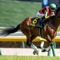 【七夕賞予想】起伏の激しいコースで先行勢は苦戦傾向！ 重賞では信用しきれない軽視したい人気の一角とは
