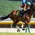 七夕賞の枠連「7-7」は今年も売れている？