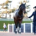 【七夕賞前日オッズ】カラマティアノスが4.7倍で1番人気