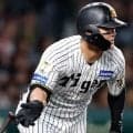 阪神　前川にアクシデント　左膝付近に自打球直撃　足を引きずってベンチ裏へ　甲子園が騒然も再度グラウンドへ