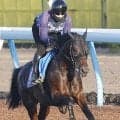【七夕賞】“七夕馬券”枠連７-７は８番人気の２０・２倍と人気集める　単勝１番人気はカラマティアノスの４・７倍　