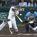 「びっくりするぐらい変えてるな」１軍復帰の阪神・近本光司の打撃フォームに騒然「変わりすぎて誰か分からん」「シーズン途中にここまで変えるの凄い」
