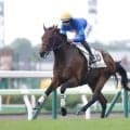 【新馬/函館5R】フレイコンが8馬身差圧勝！1番人気が能力の違いを見せつける