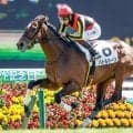 【AI予想・七夕賞】勝負気配が伝わる意欲的な調整内容！ 人工知能は7歳馬の重賞初制覇に期待