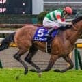 今週もエフフォーリア産駒に注目！ 重賞ウイナーの半弟イッペイが初陣