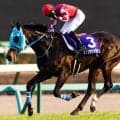 オジュウチョウサン産駒がデビュー タクミオジュウに要注目だ