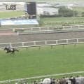 「とんでもない大物」短距離で“8馬身差”の圧勝デビュー…悠々逃げ切る姿にファン衝撃「つっよ」「格が違う」