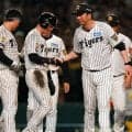 【阪神】藤川監督「戻ってきて分かる素晴らしい選手」左手首骨折から復帰の近本光司に／一問一答