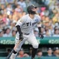 阪神・佐藤輝　球団生え抜き左打者では史上初３度目聖地２桁弾！右翼へ先制１７号　招待した西宮の子どもたちに夢の一発