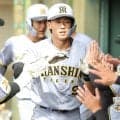 阪神・ドラ１立石　４号２ラン＆降格後初３安打「自分の間合いで振れていた」平田２軍監督「感じが良くなってきている」