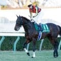【今日の注目ポイント】福島で伝統のハンデ重賞・七夕賞