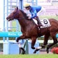 【函館５Ｒ・２歳新馬】「本当は逃げたくなかったですけど」横山武史騎手も持ったままで８馬身差圧倒　フレイコンが逃げ切りＶ