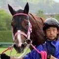 【１２日の注目・小倉９Ｒ】２億円馬ショウナンバンライが２連勝なるか　“二刀流”の全兄に続く飛躍のきっかけを