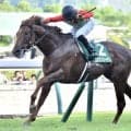 七夕賞はハンデ戦らしく波乱傾向 キングマンボ系に注目だ