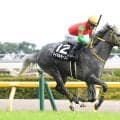 【競馬予想】七夕賞は舞台合う伏兵２頭が高額配当を演出か　人気の有力馬には嫌なデータあり