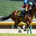 【七夕賞予想】荒れる一戦も激走タイプに共通点あり!? 過去データから探るGIII七夕賞