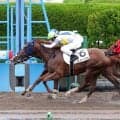 武豊騎手の通算５０００勝は函館５Ｒ以降に持ち越し　函館１Ｒのスイーヴルは写真判定の末に２着 　２Ｒは５着