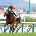 【福島４Ｒ・２歳新馬】ベンバトル産駒のラヴィサンエールが２馬身差の快勝　石神深道騎手「新馬向きの性格」